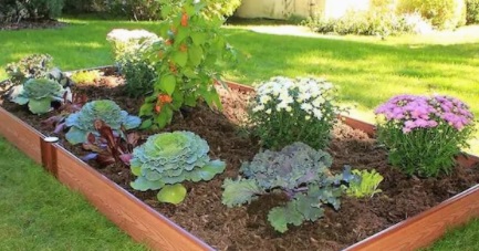 Raised flower bed