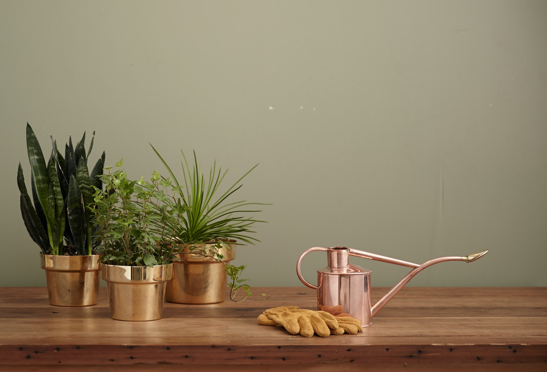 Watering can